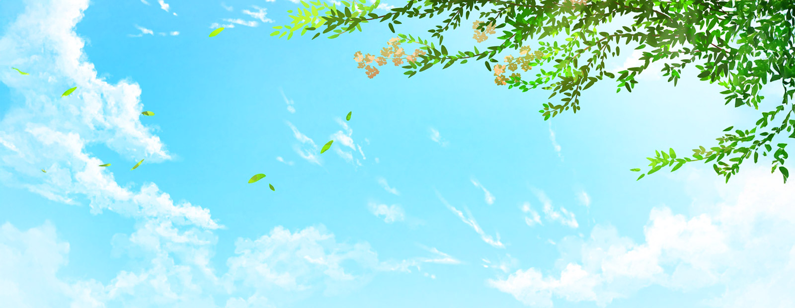 キービジュアルイメージ01